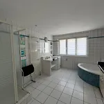 Apartment L'appart Selestadien *