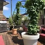 Apartment L'appart Selestadien Selestat