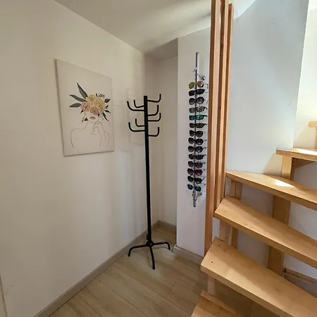公寓 L'appart Selestadien