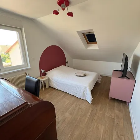 L'appart Sélestadien Appartamento *