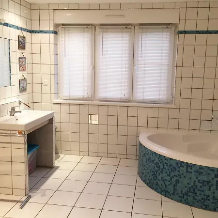L'appart' Sélestadien Appartement Sélestat